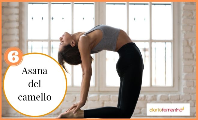 Yoga: postura del camello para la ansiedad